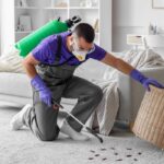 Carpet Cleaning Myths