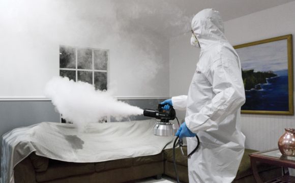 Odour & Spot Removal